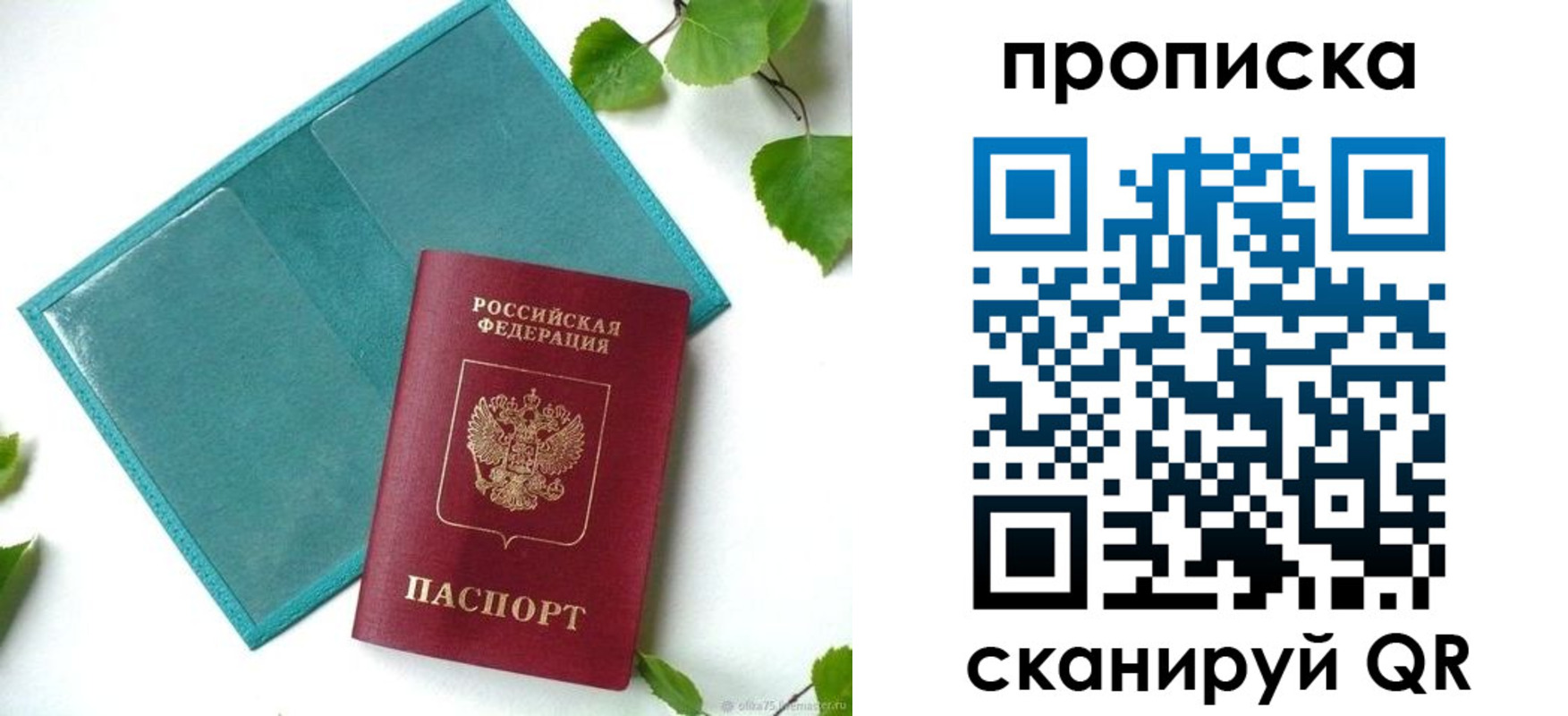 прописка штамп в Ивантеевке